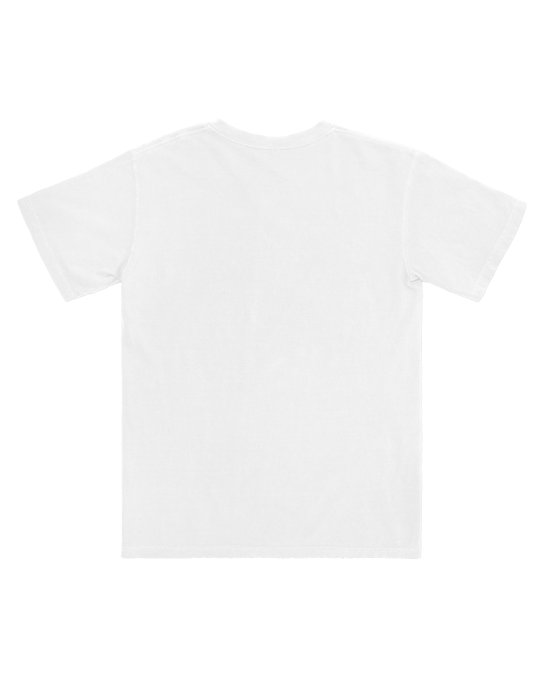 For Horses T-Shirt, WHITE